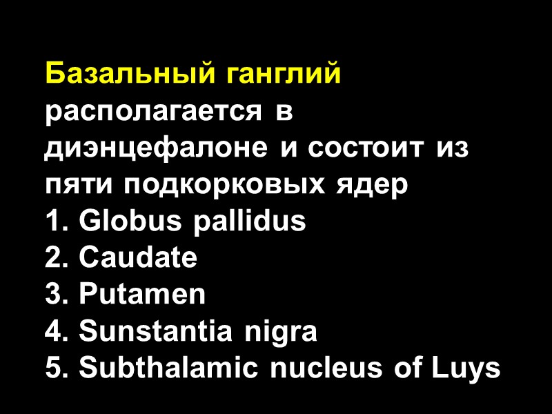 Базальный ганглий располагается в диэнцефалоне и состоит из пяти подкорковых ядер 1. Globus pallidus